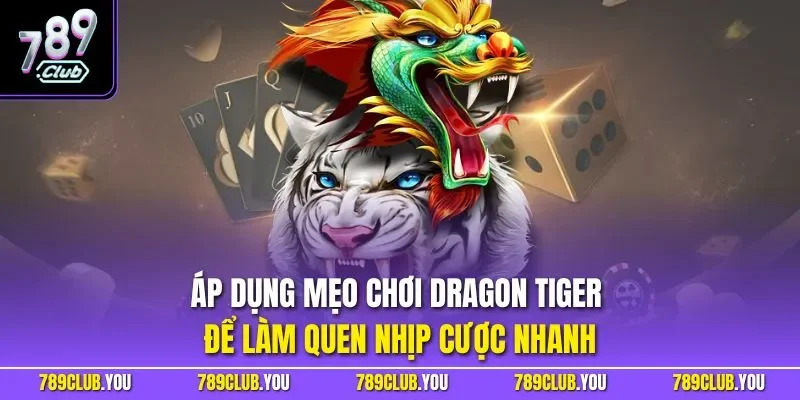 Áp dụng mẹo chơi Dragon Tiger để làm quen nhịp cược nhanh