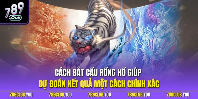 Cách bắt cầu Rồng Hổ giúp dự đoán kết quả một cách chính xác