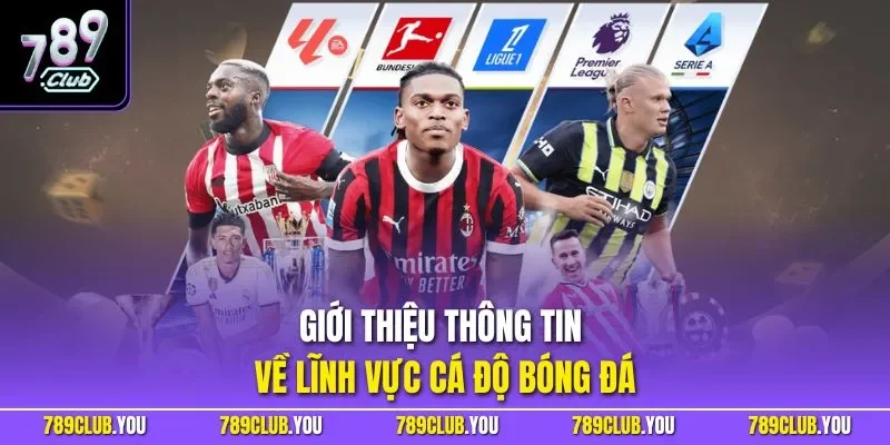 Giới thiệu thông tin về lĩnh vực cá độ bóng đá