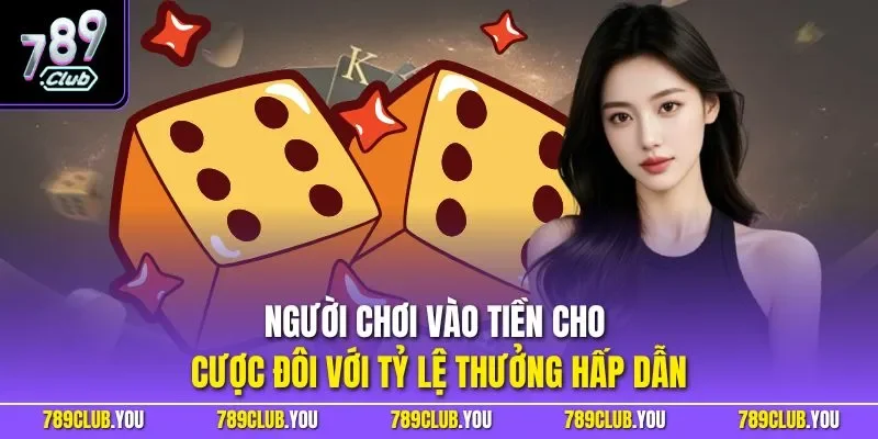 Người chơi vào tiền cho cược đôi với tỷ lệ thưởng hấp dẫn