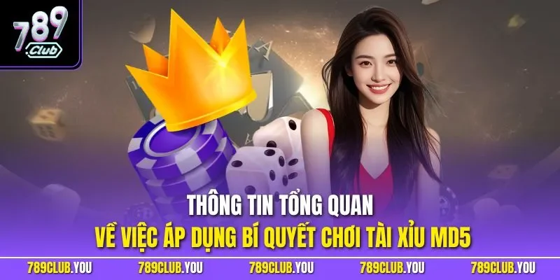 Thông tin tổng quan về việc áp dụng bí quyết chơi Tài Xỉu MD5