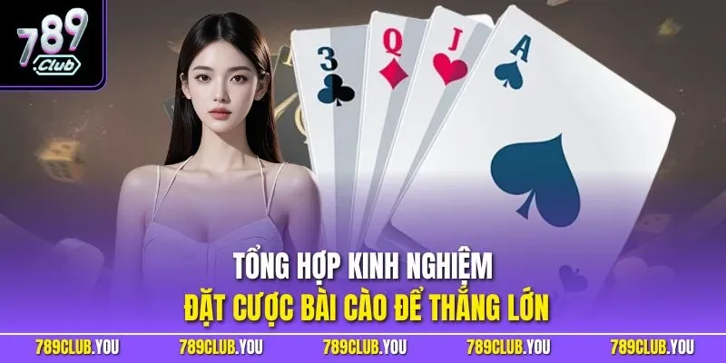Tổng hợp kinh nghiệm đặt cược bài cào để thắng lớn